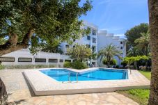 Casa adosada en Alcoceber / Alcossebre -  Adosado con piscina junto al puerto de Alcossebre