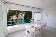 Apartment in Alcocebre / Alcossebre -  PLAYA ROMANA a 200 metros de la playa